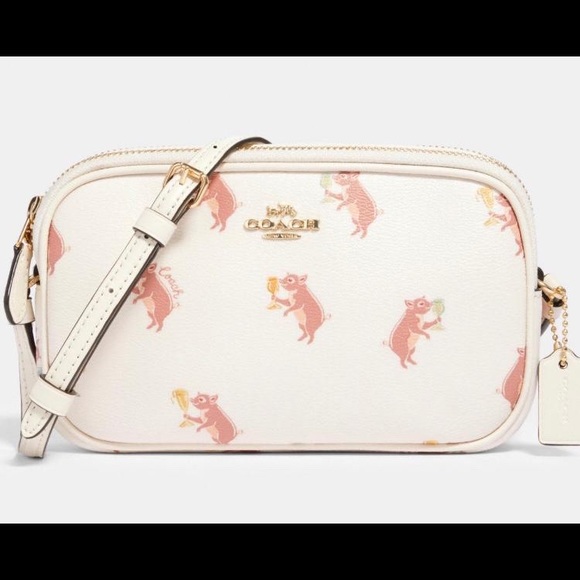 Coach new tagged crossbody bag - Picture 1 of 6